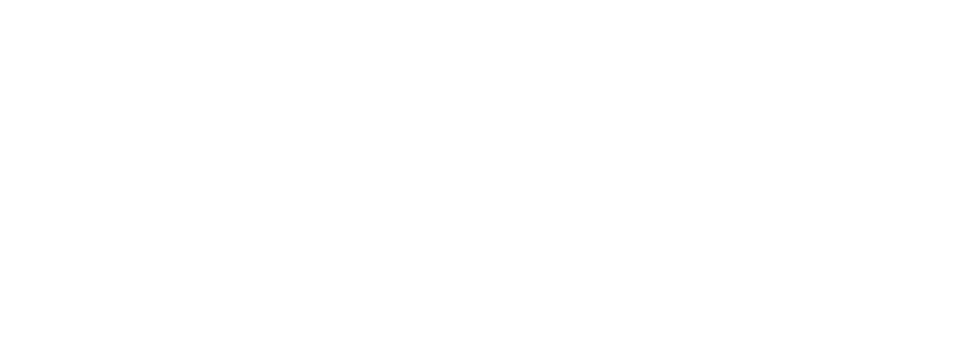 ELV8_Logo-White